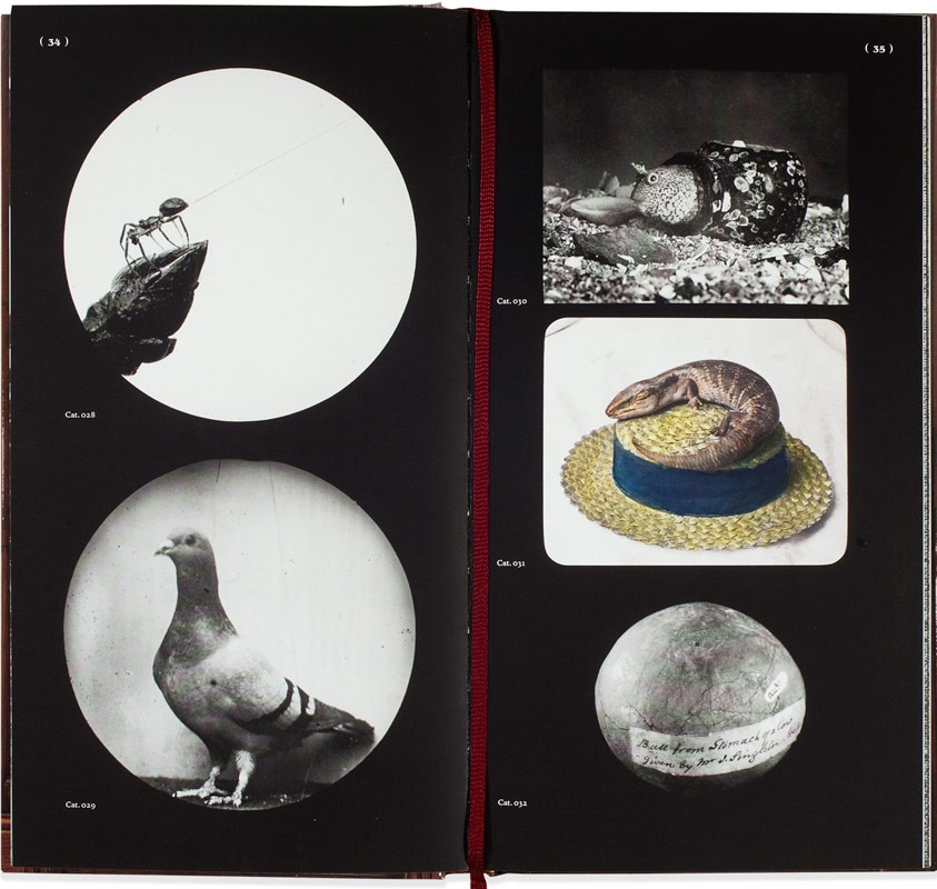 The Bureau of the Centre for the Study of Surrealism and Its Legacy - Image 2