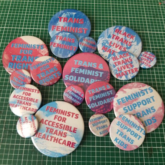 6 badge set - feminist & trans solidarity