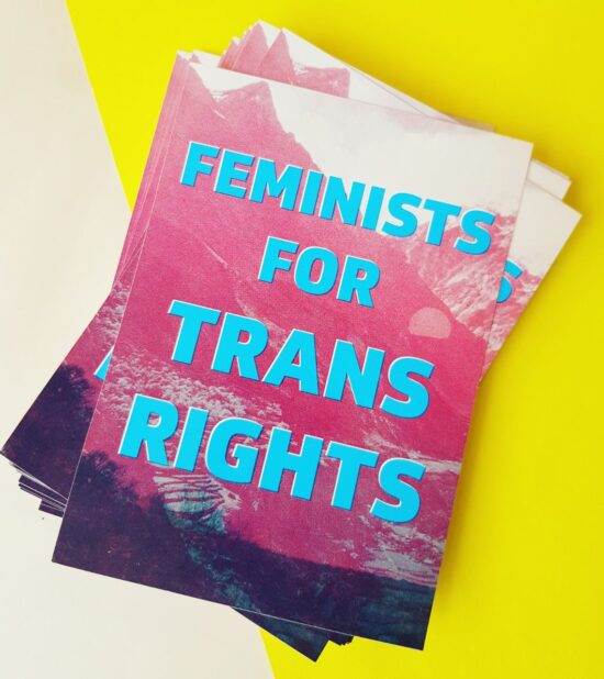 Feminists For Trans Rights sticker