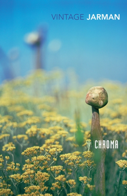 Chroma : A Book of Colour - June '93 by Derek Jarman