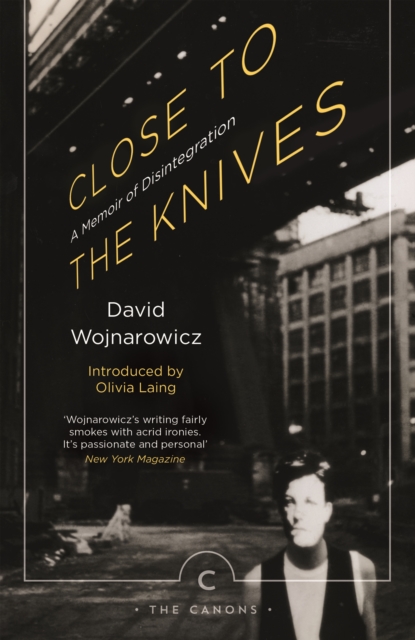 Close to the Knives : A Memoir of Disintegration by David Wojnarowicz