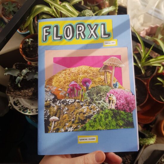 Florxl - issue 3: Looking Closer