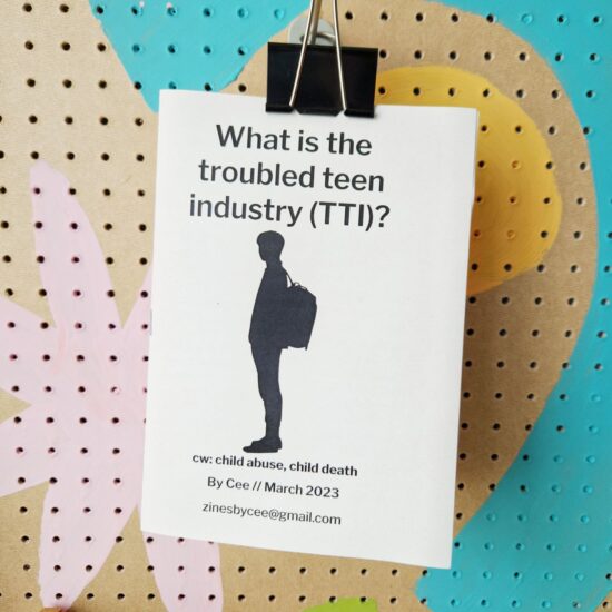 What is the troubled teen industry? (free, donations welcome)