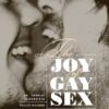 Joy Of Gay Sex Revised by Charles PhD. Silverstein