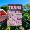 Trans Pride Trans Power sticker (packs available)