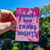Feminists For Trans Rights sticker (packs available)