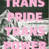 Trans Pride Trans Power sticker (packs available)
