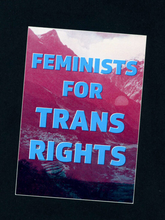 Feminists For Trans Rights sticker (BIG ONES)