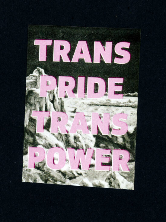 Trans Pride Trans Power sticker (packs available)