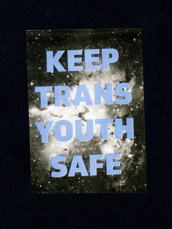 Keep Trans Youth Safe sticker (packs available)