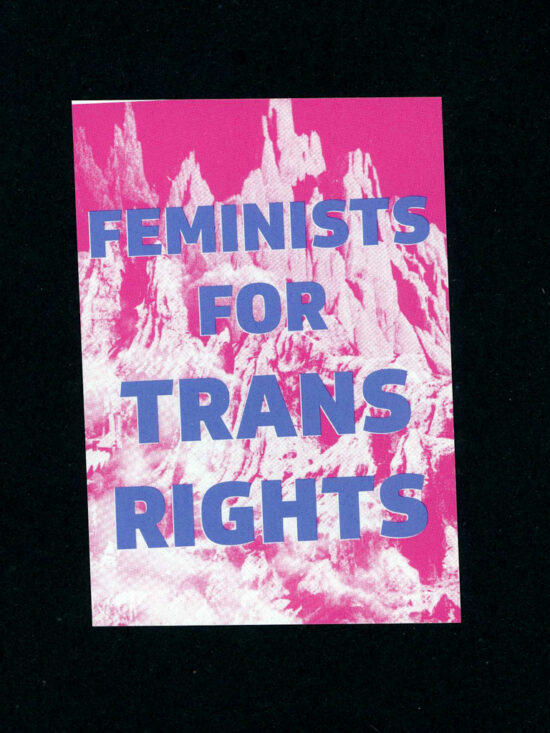 Feminists For Trans Rights sticker (packs available)