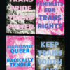 Queer & Trans Rights stickers (packs available)