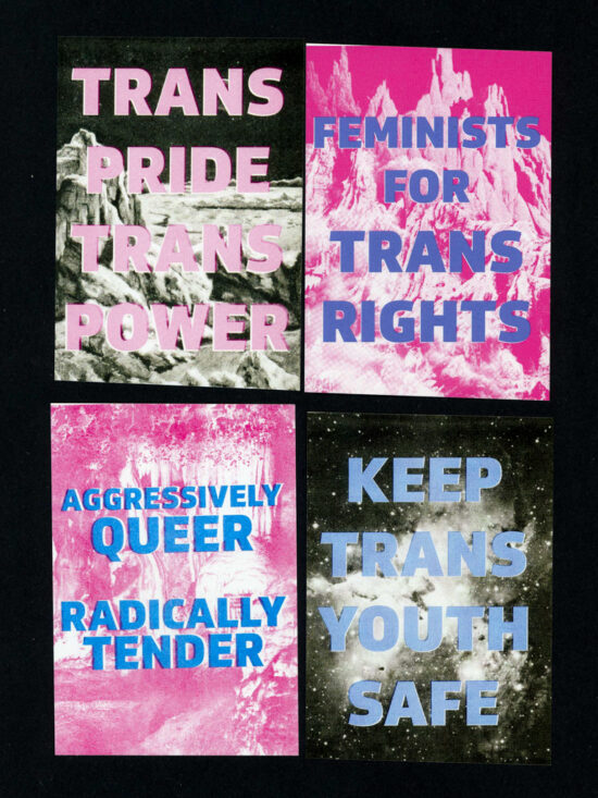 Queer & Trans Rights stickers (packs available)