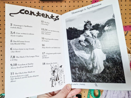 Gayze: a queer way of viewing the world