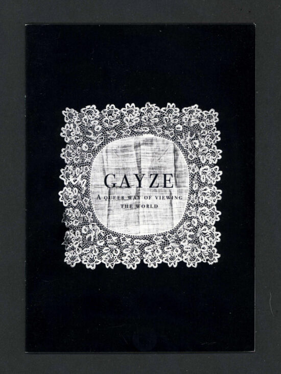 zine383 Gayze: a queer way of viewing the world
