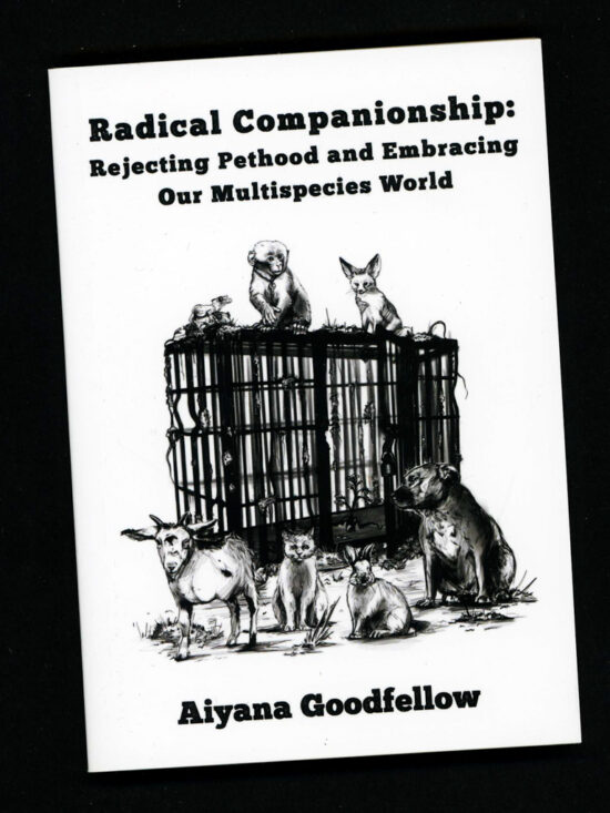 zine308 Radical Companionship by Aiyana Goodfellow