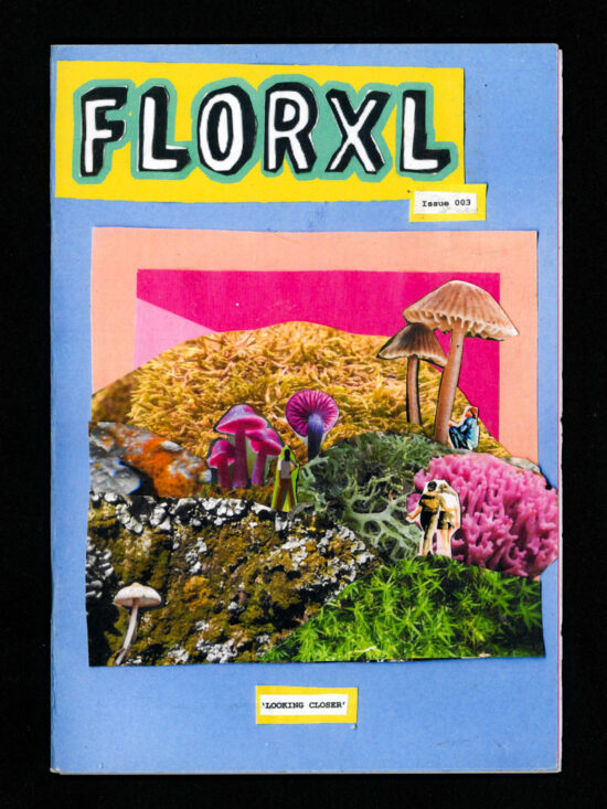 zine223 Florxl - issue 3: Looking Closer